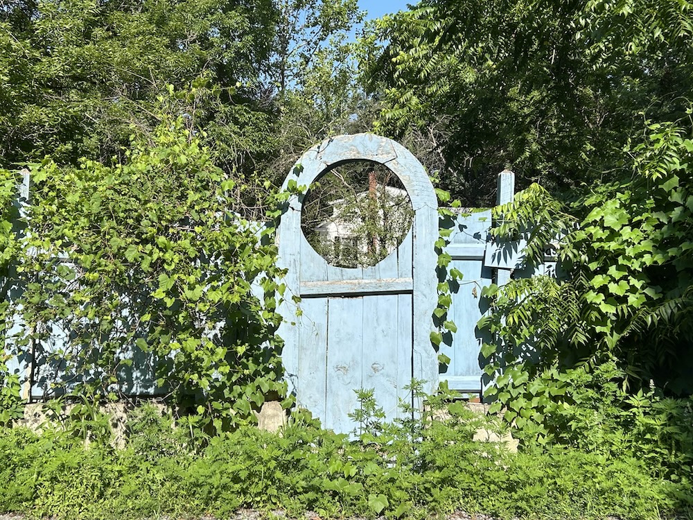 A light blue fence covered with vines. There is a gate with a large open circle at the top. It looks like a friendly opening into another world.
