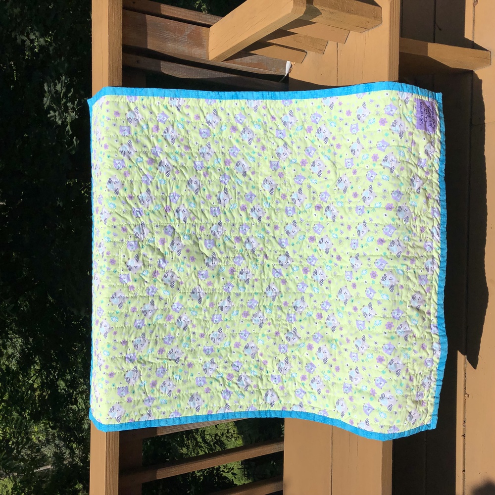 A light green quilt backing with lines broken up by shapes of otters.