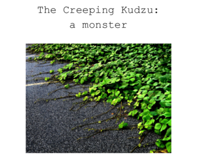 Creeping Kudzu: a monster zine. Image cropped from the front cover of the zine shows tentacles of kudzu crawling across asphalt.
